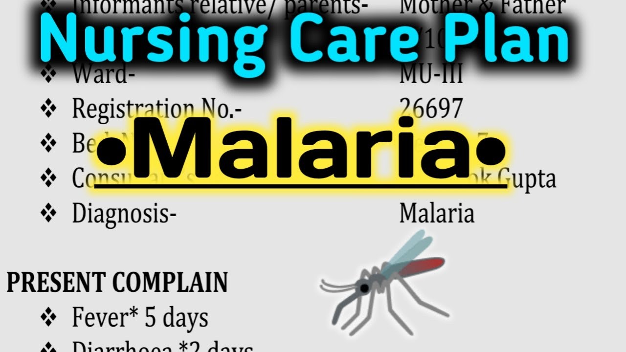 Nursing Care Plan On Malaria NursingCriteria YouTube
