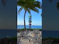 Xcaret 2024