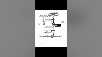 Electric Power Steering System