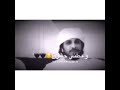 вЂЏЩ ШЈЩ Ш ШґЩ Ш ЩЉШЄЩѓ ШµШ ШЄ Щ ШґШЄШ Щ в ҐпёЏ вЂЏЩ ШЈЩ Ш ШґЩ Ш ЩЉШЄЩѓ ШµШ ШЄ Щ ШґШЄШ Щ в ҐпёЏ