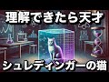 【量子力学】シュレディンガーの猫とは何か?