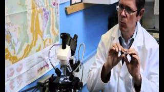 The Importance of Microfossils