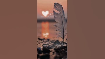 القرآن يريح العقل 🎧🤍 للقارئ شريف مصطفى 🍃 وتلاوة من سورة التغابن