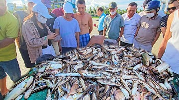 QUÁ SƯỚNG Ngư Dân Kéo Trúng Mẻ Quá Nhiều Cá To Bán Được Giá Cao - Kéo Cá ở Biển Mân Thái Đà Nẵng