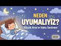 Neden Uyumalıyız? 🌙 Aras ve Sihirli Tamir Ekibi! 🛠️✨