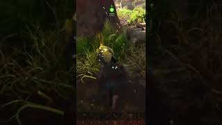 Leech Attack! Epic Survival &amp; Removal Techniques