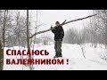 Заканчиваются дрова - спасаюсь валежником!