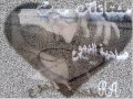 وائل جسار نصيبي اعيش عشانك 