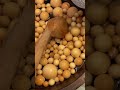 ASMR Wood Soup series #asmr #woodsounds #enjoy #foryou #asmrvideo #series