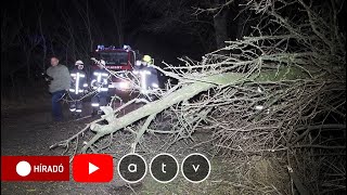 Felháborodtak a tűzoltók és a tanárok Parragh László kijelentésein