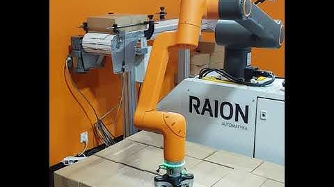 Raion Smart Palletizer
