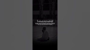 اكتب شيء تؤجر عليه ❤️😴 / القارئ طارق محمد