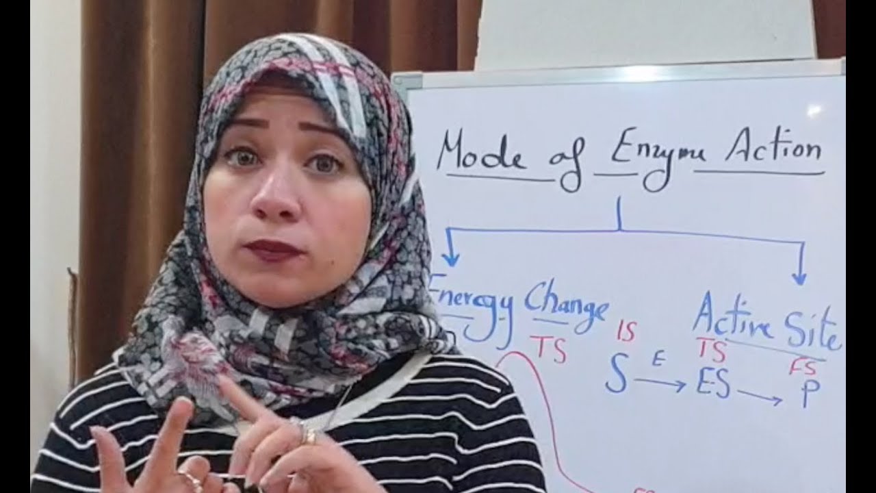 ( Enzymes Biochemisrty Session 2) Mode of enzyme action