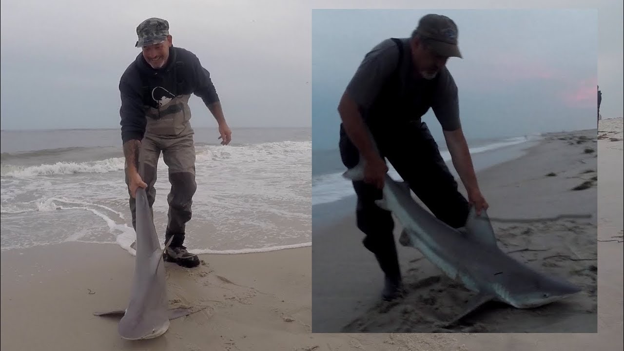 LONG ISLAND New York SHARKS on the Beach JIM & GREGORY on FIRE NY