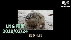 LNG精華 那些年的阿偉們 2019/02/24