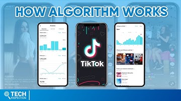 How TikTok Algorithm Works | TikTok Explained