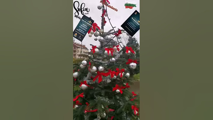 Елхи на таланта 2020/Talent's trees 2020 #short by ElenitaNjr