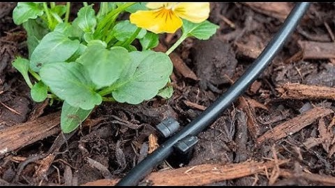 How to uncoil LDPE Pipe for an Irrigation System