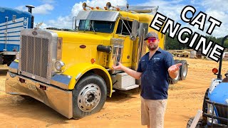 SALVAGE 359 Peterbilt at the Auction, should we save it?