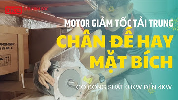 Bạn dùng motor giảm tốc chân đế hay mặt bích?