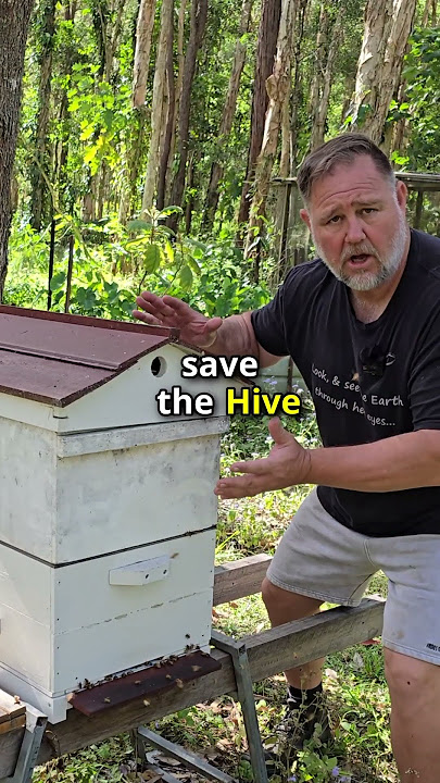 Our Beehive SWARMED! Too Much HONEY!