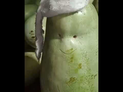 يبو علي صورني وانا اطمر صوب الكامرا