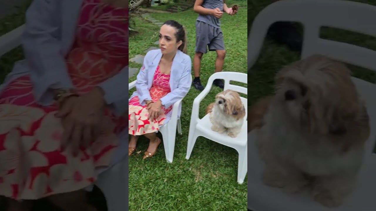 Ely e Laércio - Você marcou demais e à dois graus - Natal de 2025