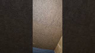 ветрозащитные плиты в Калининграде #steico #beltermo #белтермо #gutex #isoplaat #ветрозащита