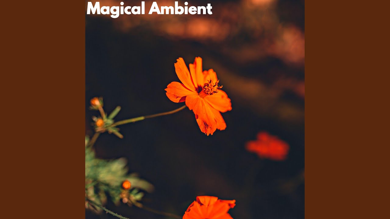 Sumptuous Favorite Surprise