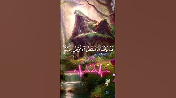 ارح قلبك بما تيسر من سورة ق بصوت شجي