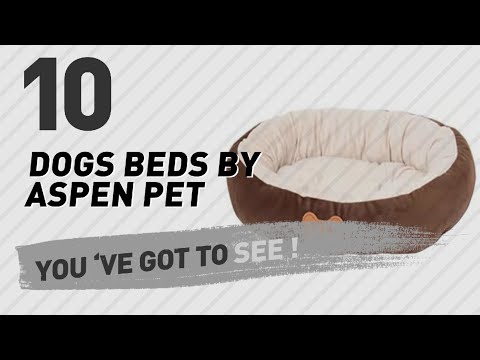 Dogs Beds By Aspen Pet // Pets Lover Channel Presents: