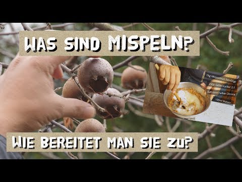 Video: Wat Is Mispel