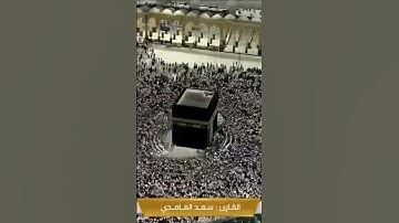 ويوم يحشر أعداء الله إلى النار فهم يوزعون) تلاوة رائعة بصوت القارئ الشيخ سعد الغامدي