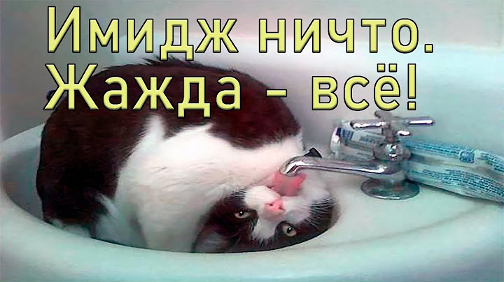 Готова на всё, когда мучает жажда!
