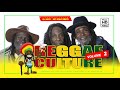 REGGAE CULTURE #2 ][[ BEST OF ROOTS REGGAE MIX ][ DJ WIFI VEVO ][ MC SOLO