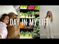 Vlog cooking at home new clothes for spring walking in the park with brody etc