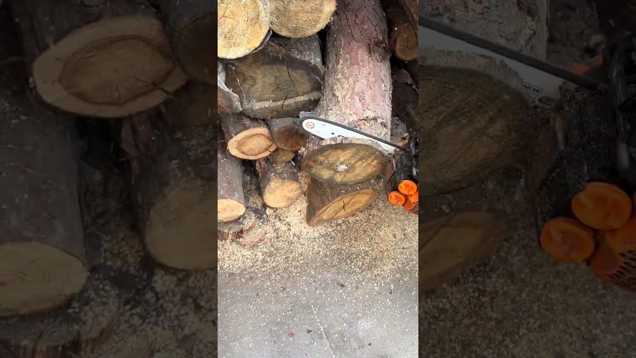 Senxing 2511 one-handed small chainsaw net weight 2.3 kilograms 10-inch guide plate chain