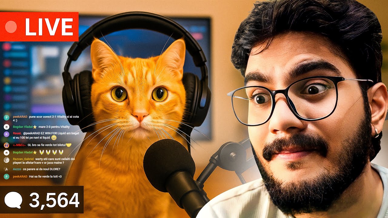 Live Streaming For Cats🐈⁉️ - Weirdest Websites