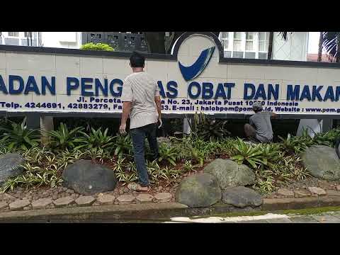 Video: Apa tanggung jawab Badan Pengawas Obat dan Makanan?