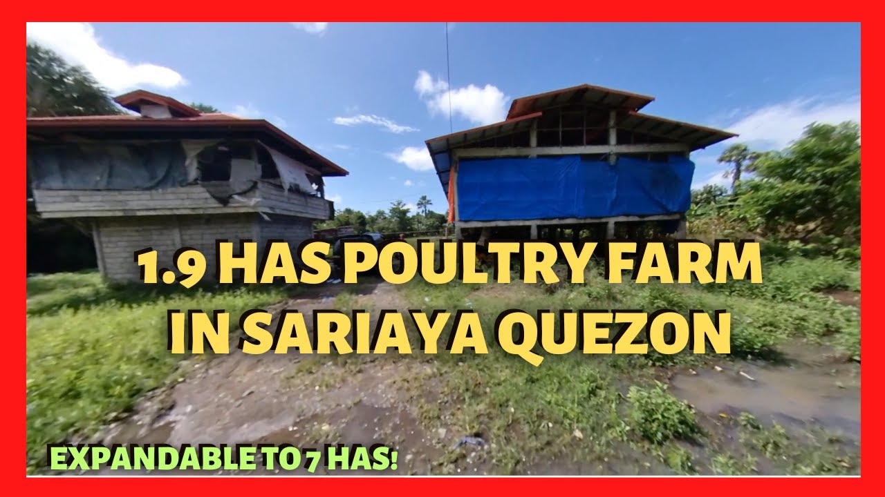 19237 sqm Poultry Farm in Sariaya Quezon For Sale (Lot Code 23107