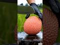 Fruit being sliced #asmr #satisfying #shorts #trending