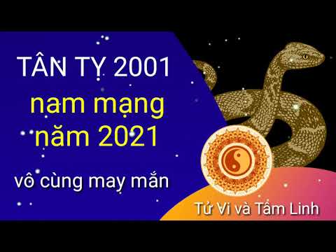 Tử Vi năm 2021 tuổi TÂN TỴ 2001 nam mạng. May Mắn Phát Tài