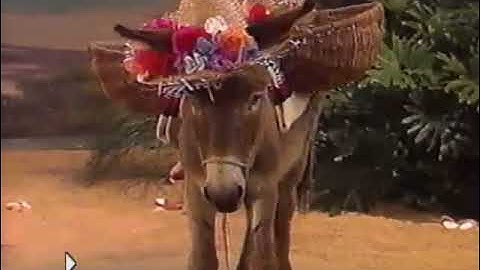 Rock With Purple Guy (2004 Version) Part 57