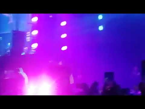 Nacho el gorila concierto de Nickijam