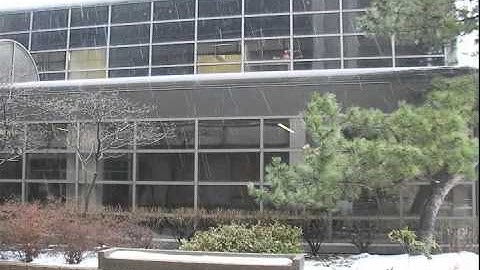 Rain and Snow Removal via Spatio-Temporal Frequency Analysis