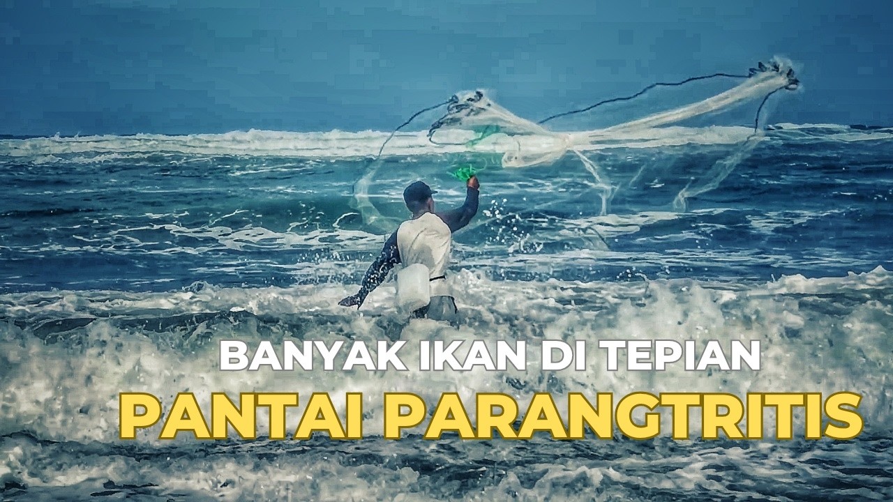 BANYAK IKAN DI TEPIAN PANTAI PARANGTRITIS