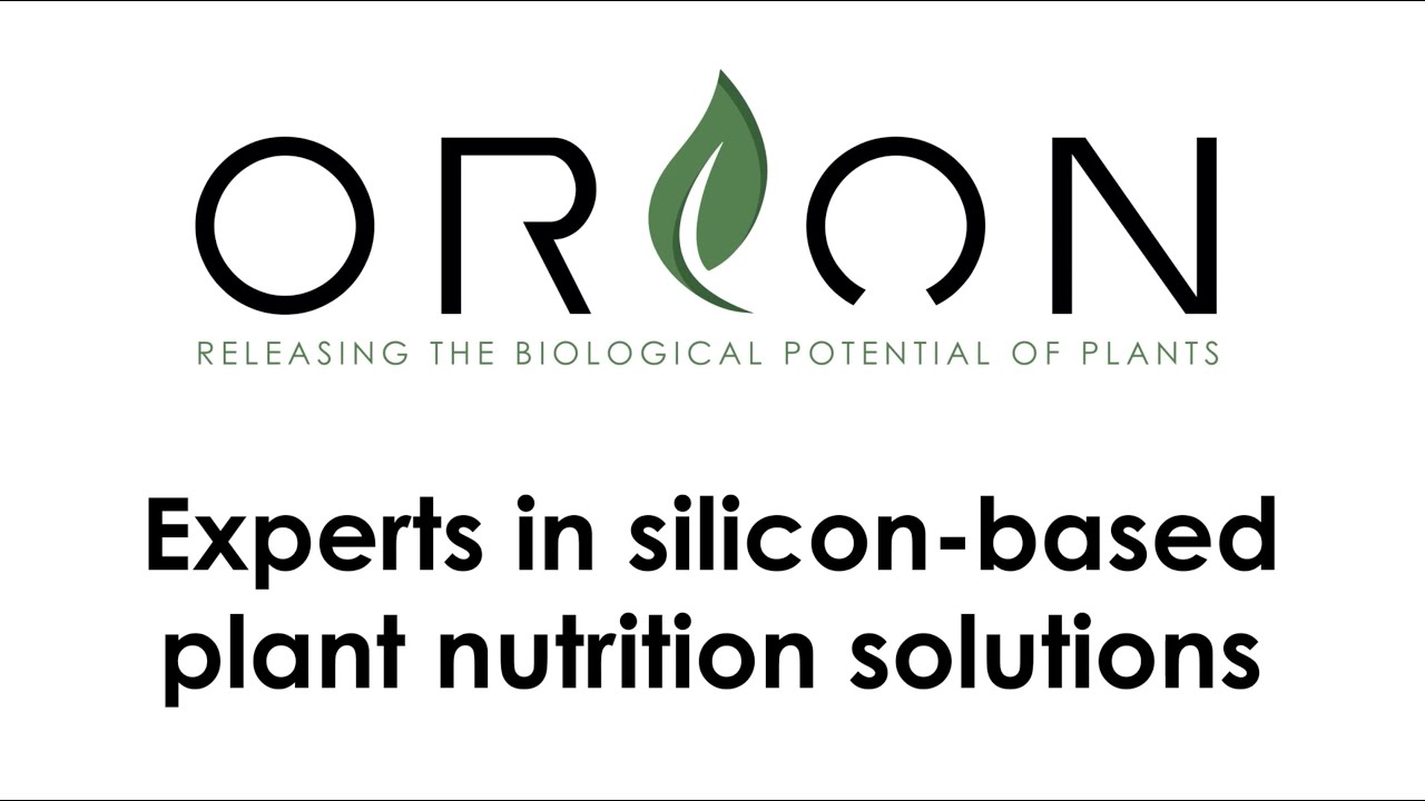 Orion Future Technology Experts in Silicon Biostimulant Technology