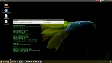Build Website With Linux VPS Part 3 | Installing Wordpress On Your VestaCP/VPS