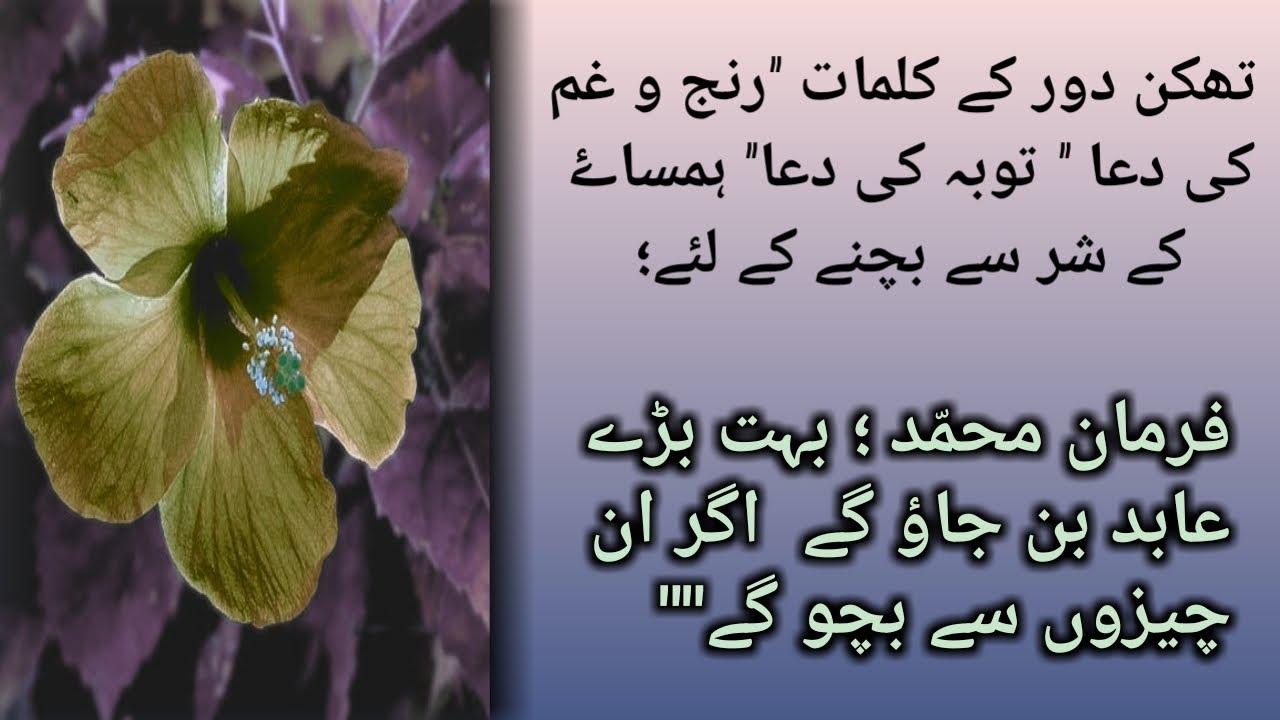 qulmat to relieve fatigue" Hadrat Muhammad ne fermae Abid// best dua urdu with Arbic YouTube