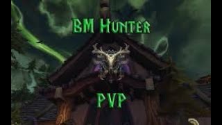Battleground BM Hunter Gameplay!  Talking About the Best Horde Races for Hunter!